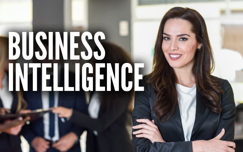 Business Intelligence (BI)