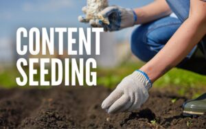 Webdesign Krefeld Glossar Content Seeding