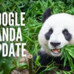 Google Panda Update