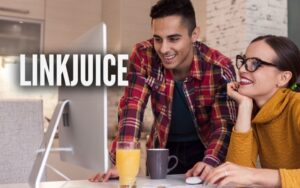 Webdesign Krefeld Glossar Linkjuice